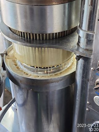 정병무님의 참깨 · 자유게시판 작성글 사진