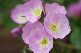 배영이님의 작성글 사진