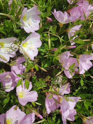 배영이님의 작성글 사진