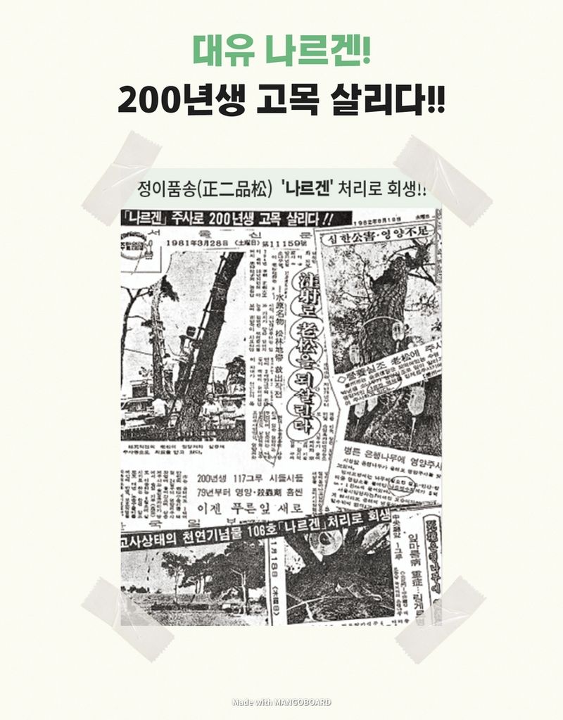 태민농자재님의 장터 판매 상품 [대유 나르겐 10L 액제 액비 녹용인삼 당도 고추 마늘 딸기 마늘 영양제 액체 비료] 첨부 사진