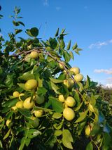 팜모닝 기타작물·자유게시판 게시글 이미지