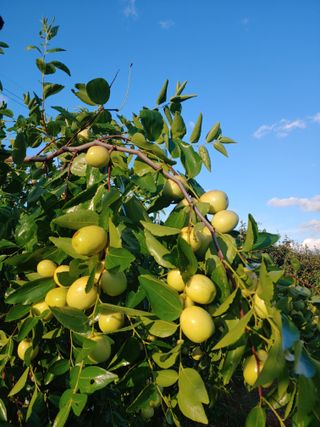 천승준님의 기타작물 · 자유게시판 작성글 사진