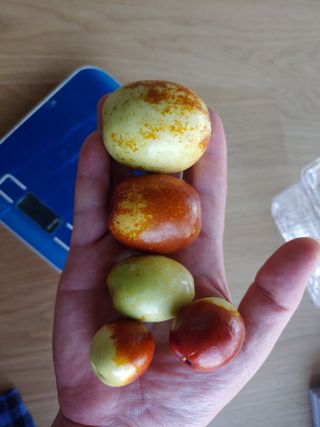 천승준님의 기타작물 · 자유게시판 작성글 사진