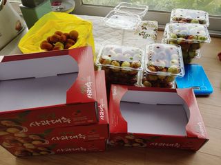 천승준님의 기타작물 · 자유게시판 작성글 사진