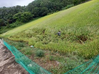 무주김근중님의 윷놀이 끝! 어떠셨나요?·참여글 작성글 사진