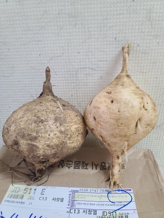 권영술님의 기타작물 · 자유게시판 작성글 사진