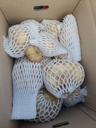 권영술님의 기타작물 · 자유게시판 작성글 사진