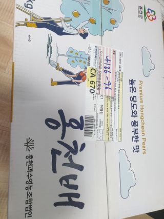 알 수 없음님의 기타작물 · 자유게시판 작성글 사진