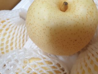 알 수 없음님의 기타작물 · 자유게시판 작성글 사진