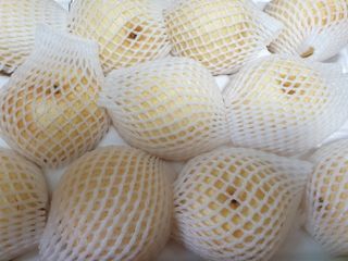 알 수 없음님의 기타작물 · 자유게시판 작성글 사진