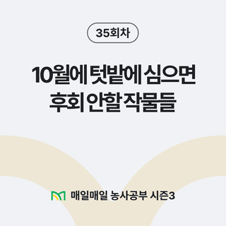팜모닝 농사공부님의 매일매일 농사공부 · 매일매일 농사공부 작성글 사진