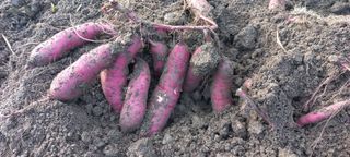 무진장UDT님의 자유주제 · 자유게시판 작성글 사진