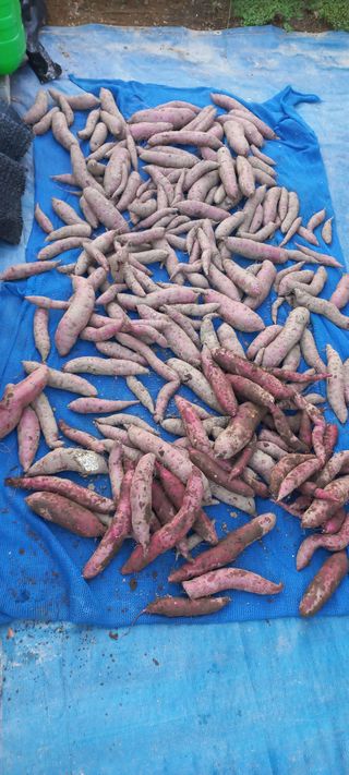 무진장UDT님의 자유주제 · 자유게시판 작성글 사진