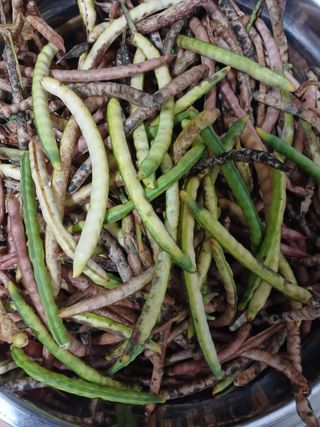 농사정보배우고싶어요님의 자유주제 · 자유게시판 작성글 사진