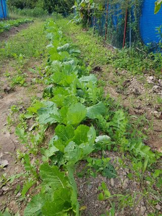 정석구님의 자유주제 · 자유게시판 작성글 사진