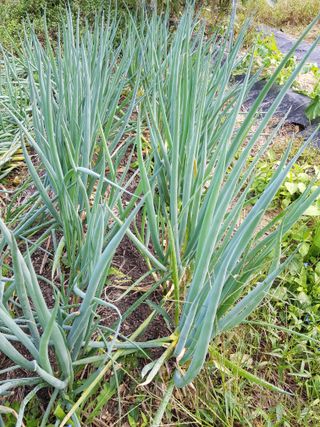 정석구님의 자유주제 · 자유게시판 작성글 사진