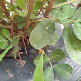 오색땅콩님의 우리동네 · 동네수다 작성글 사진