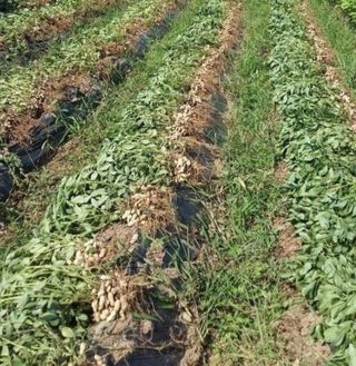 오색땅콩님의 우리동네 · 동네수다 작성글 사진