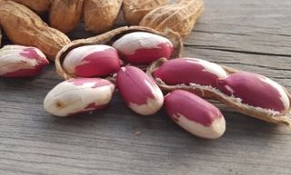 오색땅콩님의 우리동네 · 동네수다 작성글 사진