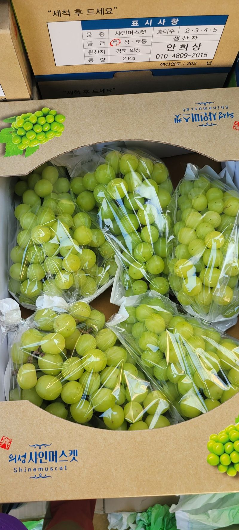 이명화님의 장터 판매 상품 [샤인머스켓] 첨부 사진