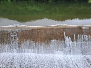 푸른오이님의 ↑ 윷놀이 하고 추석덕담 하기 · 참여글 작성글 사진