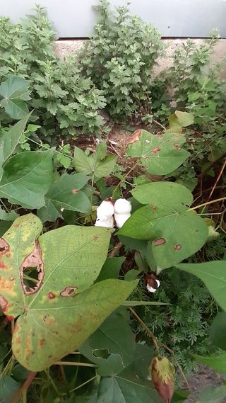 송광만님의 자유주제 · 자유게시판 작성글 사진