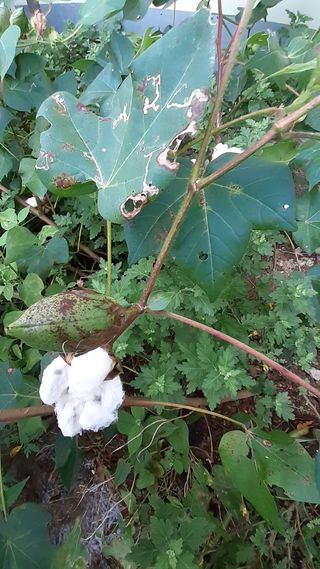 송광만님의 자유주제 · 자유게시판 작성글 사진