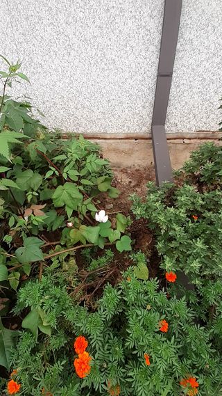 송광만님의 자유주제 · 자유게시판 작성글 사진