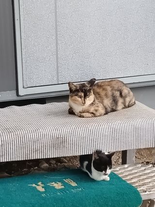 이상애초보농업님의 자유주제 · 자유게시판 작성글 사진