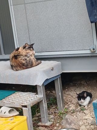 이상애초보농업님의 자유주제 · 자유게시판 작성글 사진