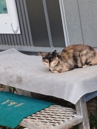 이상애초보농업님의 자유주제 · 자유게시판 작성글 사진