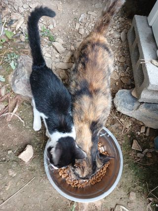 이상애초보농업님의 자유주제 · 자유게시판 작성글 사진