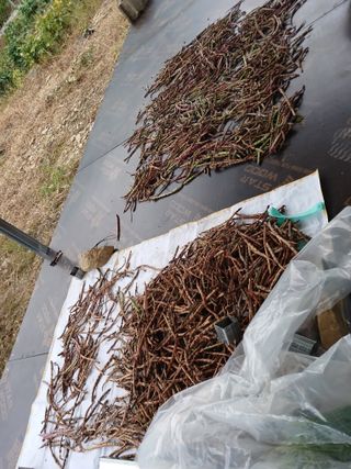 이상애초보농업님의 자유주제 · 자유게시판 작성글 사진