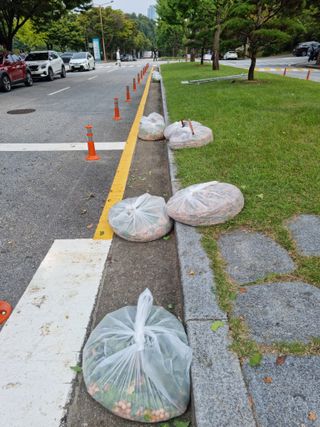 저녁이 있는 삶*실현 하회탈 민경일님의 자유주제 · 자유게시판 작성글 사진