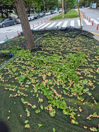 저녁이 있는 삶*실현 하회탈 민경일님의 자유주제 · 자유게시판 작성글 사진