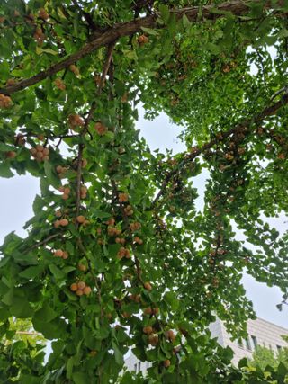 저녁이 있는 삶*실현 하회탈 민경일님의 자유주제 · 자유게시판 작성글 사진