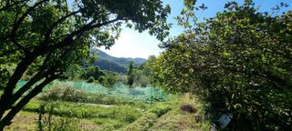 달방구님의 자유주제 · 자유게시판 작성글 사진