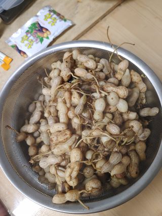 이현상님의 자유주제 · 칭찬해요 작성글 사진