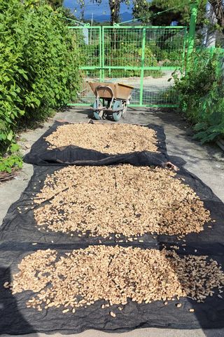 김중언님의 우리동네 · 동네수다 작성글 사진