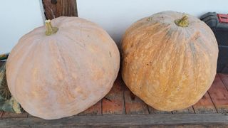 김중언님의 우리동네 · 동네수다 작성글 사진