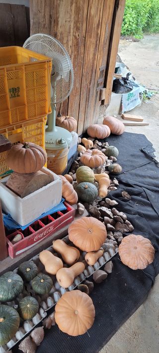 김중언님의 우리동네 · 동네수다 작성글 사진