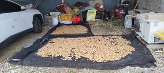 김중언님의 우리동네 · 동네수다 작성글 사진