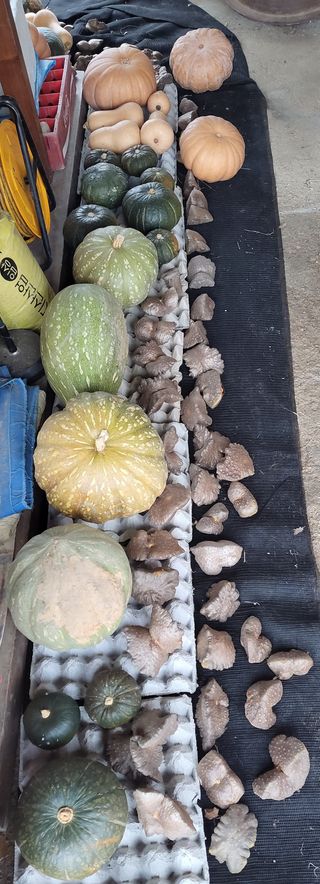 김중언님의 우리동네 · 동네수다 작성글 사진