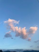 팜모닝 기타작물·병해충상담 게시글 이미지