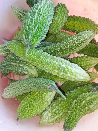 강정희님의 자유주제 · 자유게시판 작성글 사진