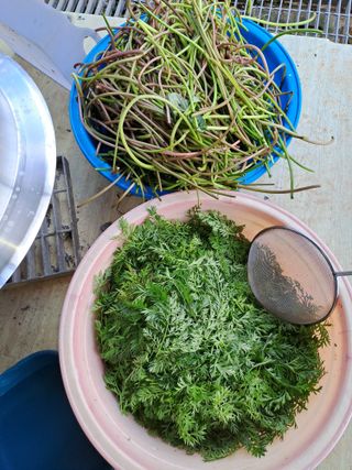 강정희님의 자유주제 · 자유게시판 작성글 사진