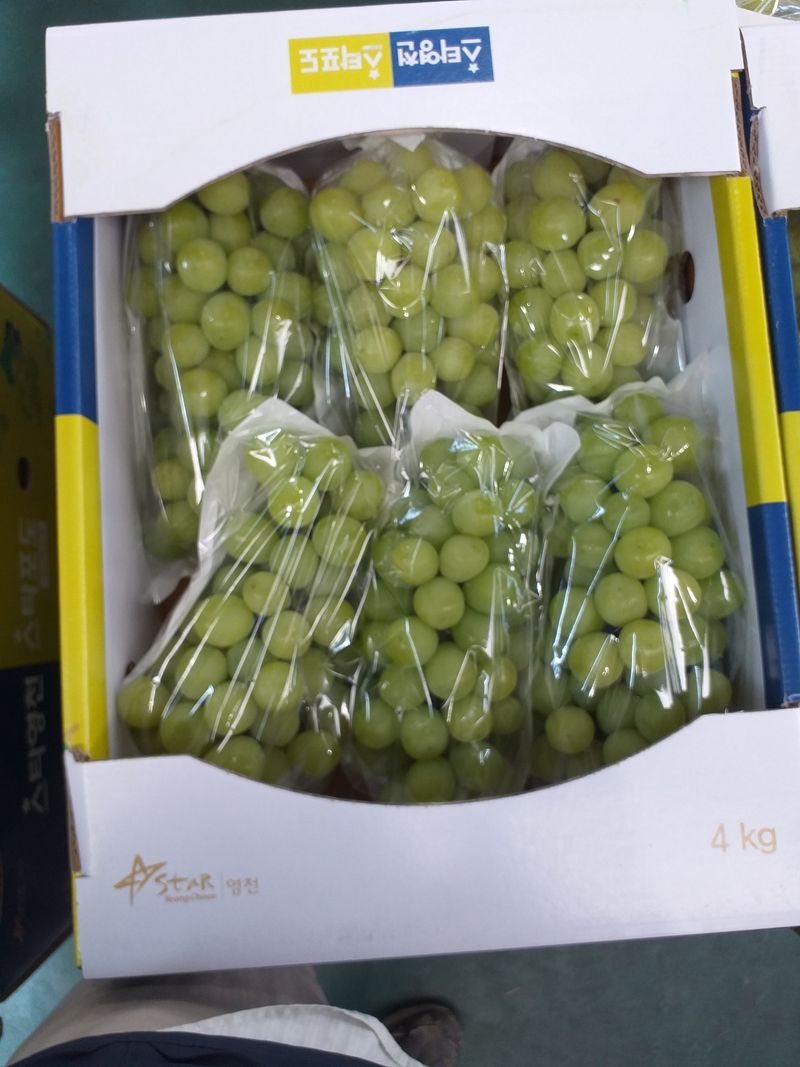 단진동님의 장터 판매 상품 [2kg  4kg 선택주문] 첨부 사진