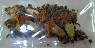 이미옥님의 벼 · 자유게시판 작성글 사진