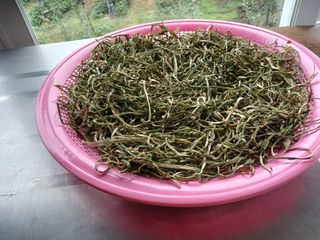 알 수 없음님의 우리동네 · 동네수다 작성글 사진