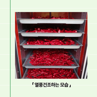 팜모닝님의 고추 · 저장•가공 작성글 사진